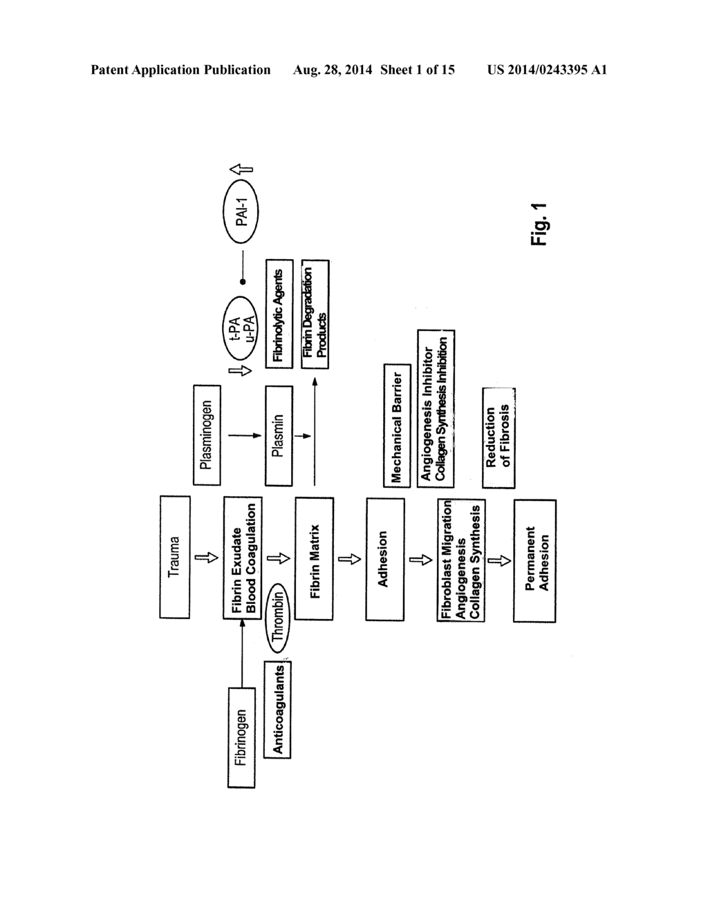 SPRAY SYSTEM FOR PRODUCTION OF A MATRIX FORMED IN SITU - diagram, schematic, and image 02