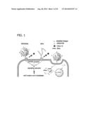 CXCR4 INHIBITING CARRIERS FOR NUCLEIC ACID DELIVERY diagram and image