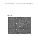 CXCR4 INHIBITING CARRIERS FOR NUCLEIC ACID DELIVERY diagram and image