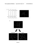 SELF HEALING HYDROGELS diagram and image