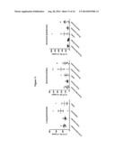 ANTAGONISTS OF IL17C FOR THE TREATMENT OF INFLAMMATORY DISORDERS diagram and image