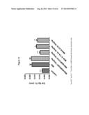 ANTAGONISTS OF IL17C FOR THE TREATMENT OF INFLAMMATORY DISORDERS diagram and image