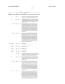 ANTAGONISTS OF IL17C FOR THE TREATMENT OF INFLAMMATORY DISORDERS diagram and image