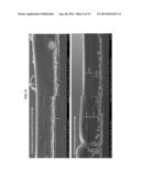 MUTING GLUCOSE SENSOR OXYGEN RESPONSE AND REDUCING ELECTRODE EDGE GROWTH     WITH PULSED CURRENT PLATING diagram and image