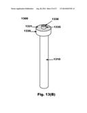 FRICTIONAL TRANS-EPITHELIAL TISSUE DISRUPTION COLLECTION APPARATUS AND     METHOD OF INDUCING AN IMMUNE RESPONSE diagram and image