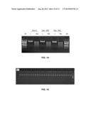 SAMPLE RECOVERY AND COLLECTION DEVICE diagram and image