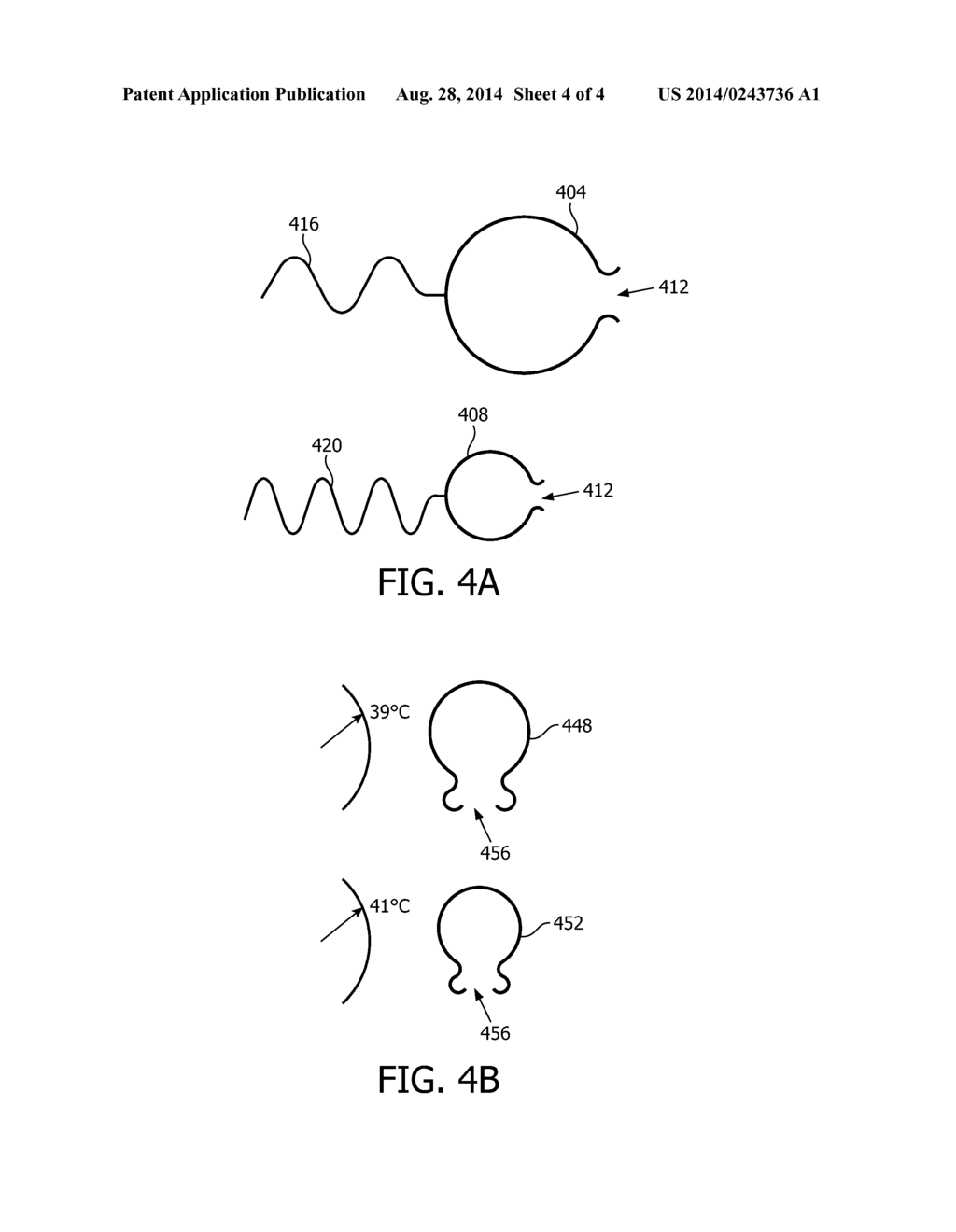 ULTRASOUND MEDIATED DELIVERY WITH CRITIAL-ORGAN PROTECTION - diagram, schematic, and image 05