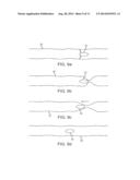 SWALLOWABLE CAPSULE AND METHOD FOR STIMULATING INCRETIN PRODUCTION WITHIN     THE INTESTINAL TRACT diagram and image