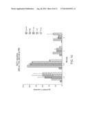 SWALLOWABLE CAPSULE AND METHOD FOR STIMULATING INCRETIN PRODUCTION WITHIN     THE INTESTINAL TRACT diagram and image