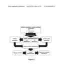 CODON OPTIMIZATION OF A SYNTHETIC GENE(S) FOR PROTEIN EXPRESSION diagram and image