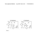 CODON OPTIMIZATION OF A SYNTHETIC GENE(S) FOR PROTEIN EXPRESSION diagram and image