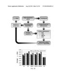 CODON OPTIMIZATION OF A SYNTHETIC GENE(S) FOR PROTEIN EXPRESSION diagram and image