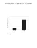 CODON OPTIMIZATION OF A SYNTHETIC GENE(S) FOR PROTEIN EXPRESSION diagram and image