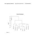 CODON OPTIMIZATION OF A SYNTHETIC GENE(S) FOR PROTEIN EXPRESSION diagram and image