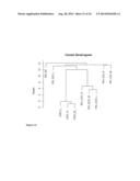 CODON OPTIMIZATION OF A SYNTHETIC GENE(S) FOR PROTEIN EXPRESSION diagram and image