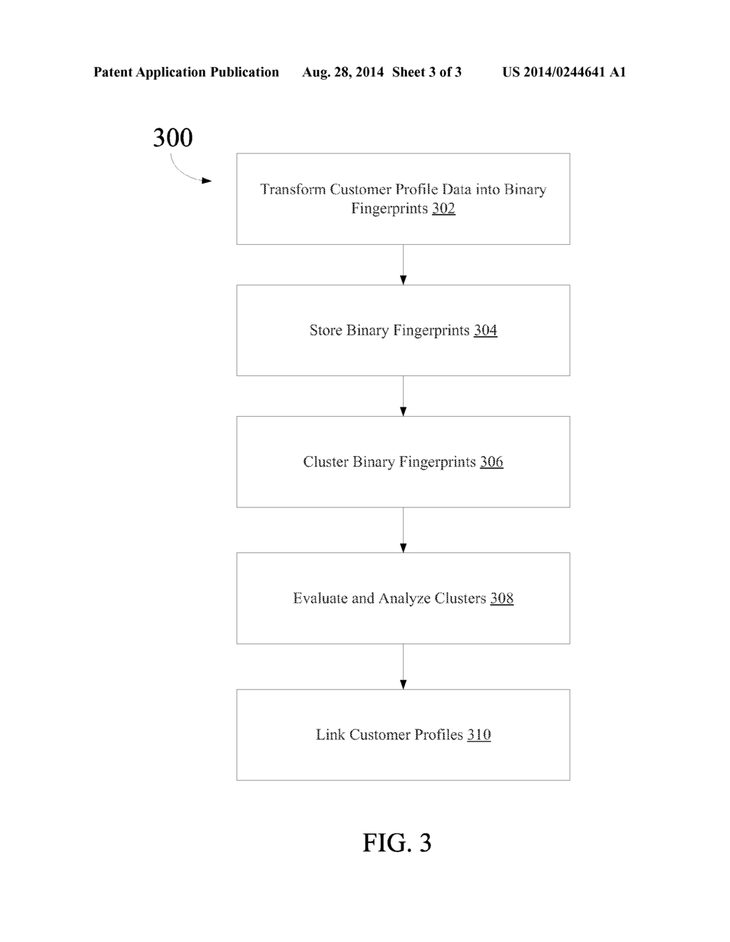 HOLISTIC CUSTOMER RECORD LINKAGE VIA PROFILE FINGERPRINTS - diagram, schematic, and image 04