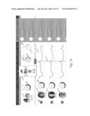 Systems and Methods for the Assessment of Social Media Performance diagram and image