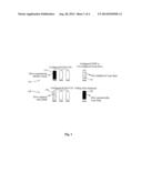 METHOD AND SYSTEM TO PROVIDE DATA PROTECTION TO RAID 0/ OR DEGRADED     REDUNDANT VIRTUAL DISK diagram and image