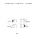 METHOD AND SYSTEM TO PROVIDE DATA PROTECTION TO RAID 0/ OR DEGRADED     REDUNDANT VIRTUAL DISK diagram and image