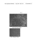 Method Of Measuring Wear Rate In Rubber Tires diagram and image