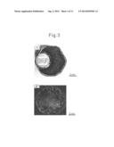 SIC SINGLE CRYSTAL MANUFACTURING METHOD diagram and image