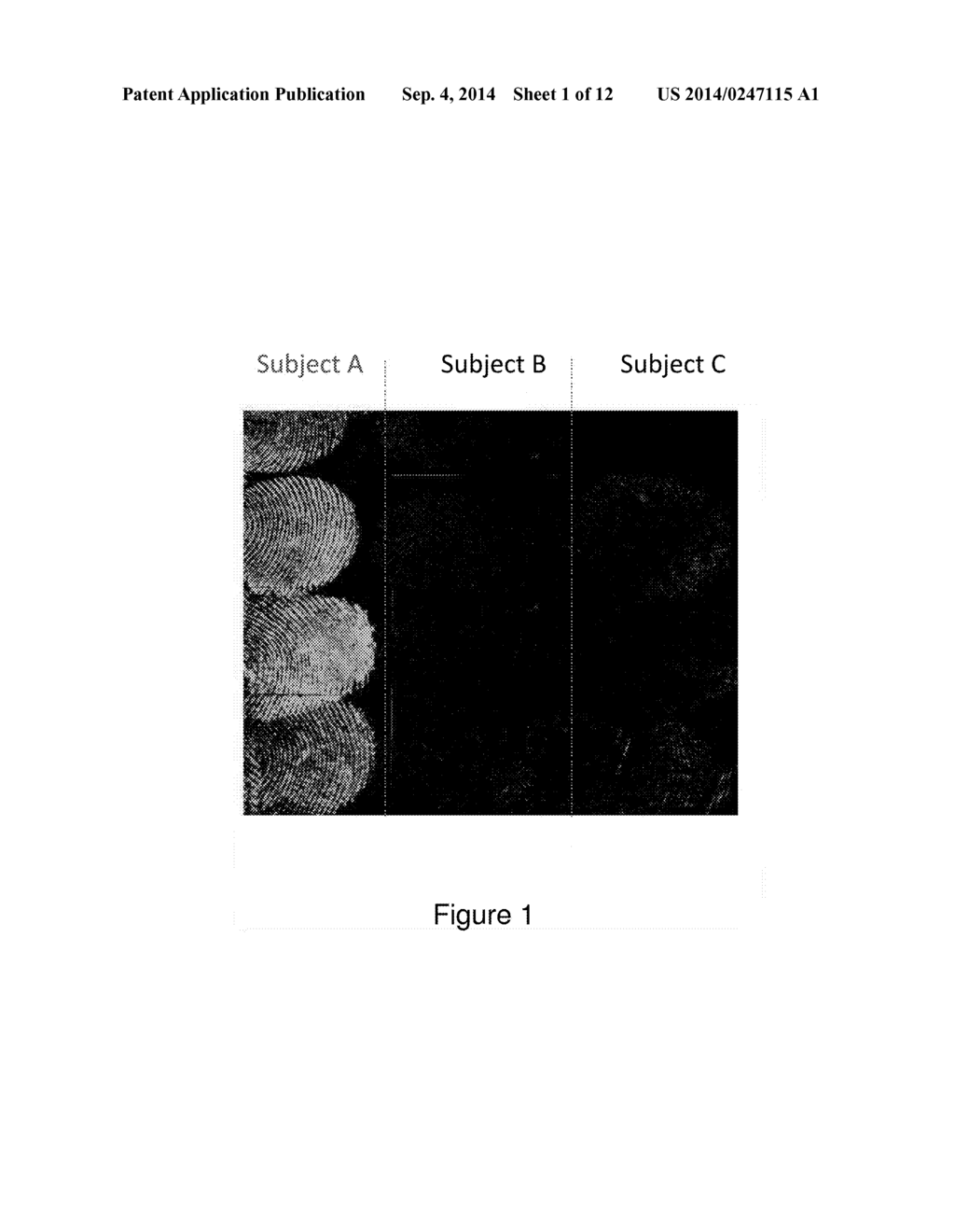 NANOSTRUCTURE-INITIATOR MASS SPECTROMETRY BIOMETRICS - diagram, schematic, and image 02