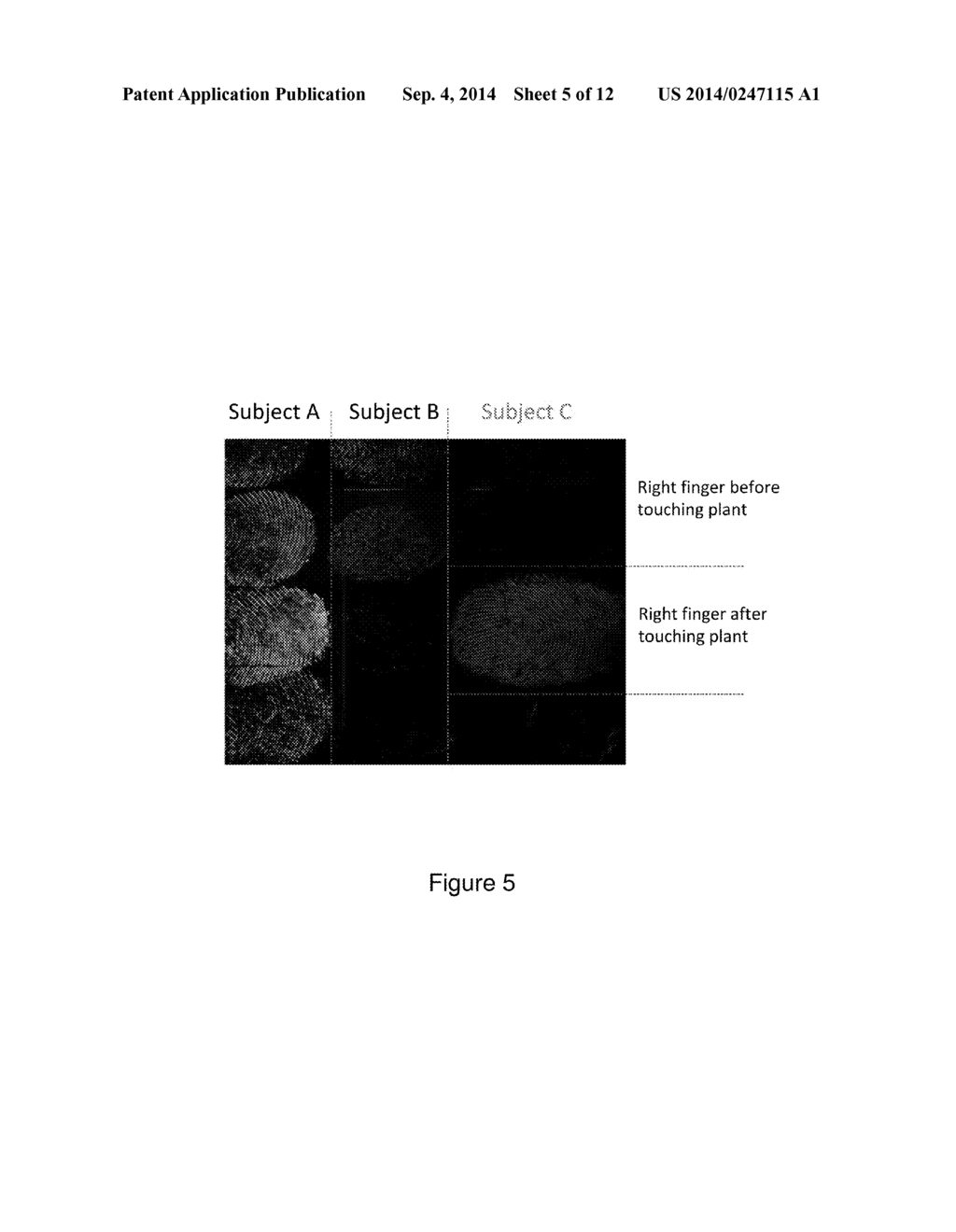 NANOSTRUCTURE-INITIATOR MASS SPECTROMETRY BIOMETRICS - diagram, schematic, and image 06