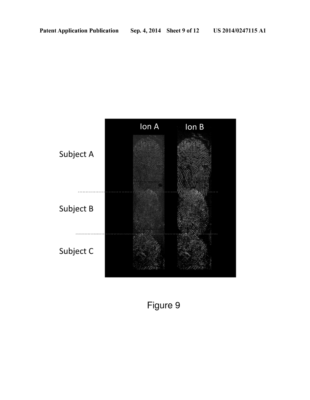 NANOSTRUCTURE-INITIATOR MASS SPECTROMETRY BIOMETRICS - diagram, schematic, and image 10