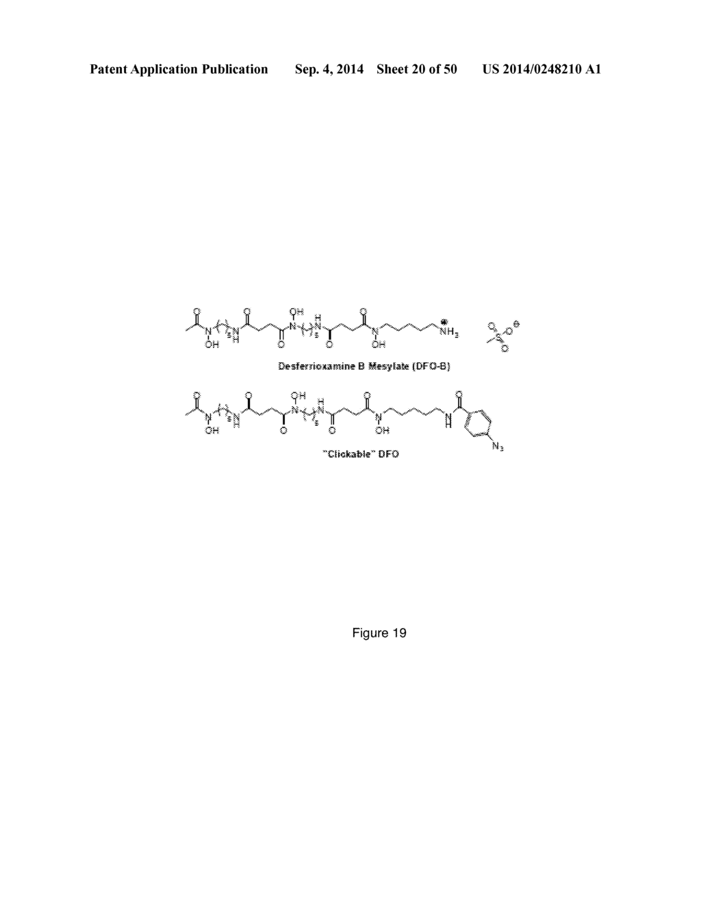 MULTIMODAL SILICA-BASED NANOPARTICLES - diagram, schematic, and image 21