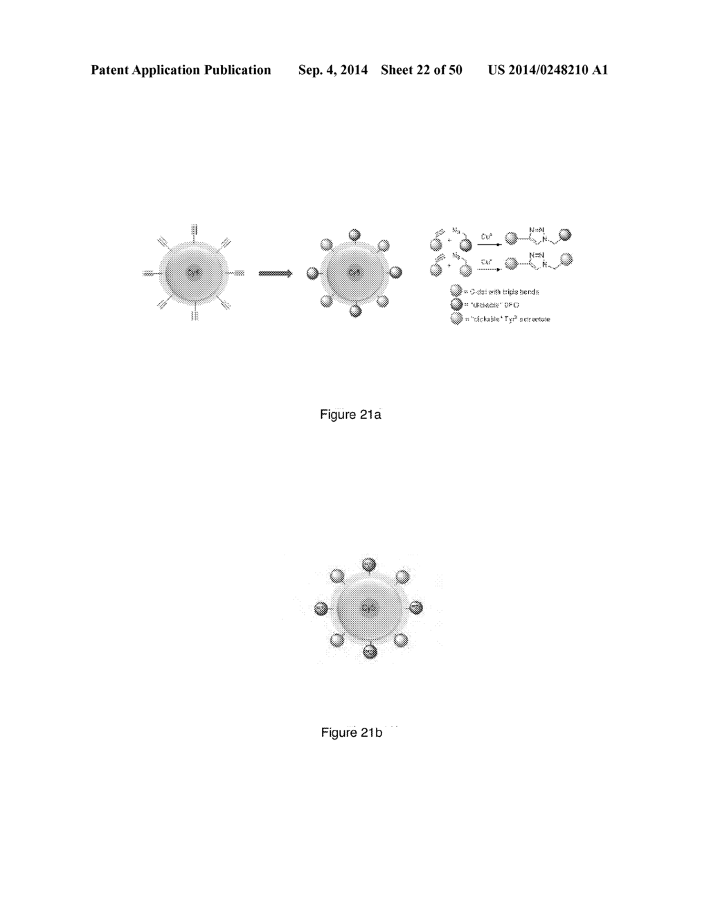 MULTIMODAL SILICA-BASED NANOPARTICLES - diagram, schematic, and image 23