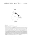 VIRUS-LIKE PARTICLES FOR TREATMENT OF VIRAL INFECTIONS diagram and image