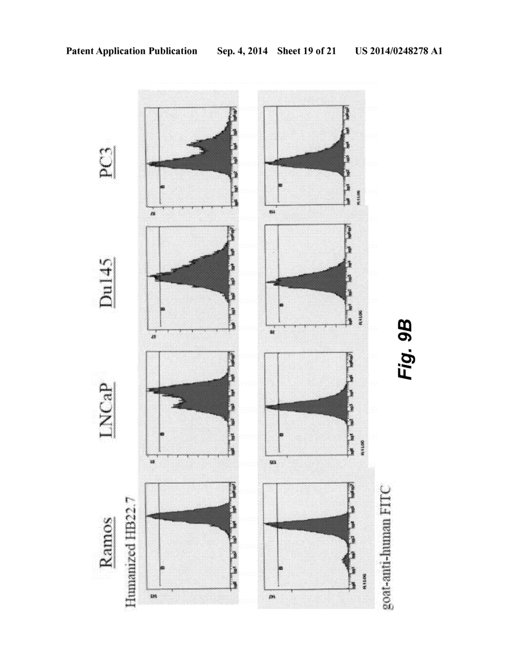 ANTI-CD22 ANTIGEN BINDING MOLECULES TO TREAT LUNG CANCER AND PROSTATE     CANCER - diagram, schematic, and image 20