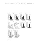 ERYTHROPOIETIC ROLE OF RESIDENT MACROPHAGES IN HEMATOPOIETIC ORGANS diagram and image