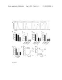 ERYTHROPOIETIC ROLE OF RESIDENT MACROPHAGES IN HEMATOPOIETIC ORGANS diagram and image