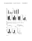 ERYTHROPOIETIC ROLE OF RESIDENT MACROPHAGES IN HEMATOPOIETIC ORGANS diagram and image