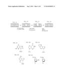 NOVEL RISK BIOMARKERS FOR LUNG CANCER diagram and image