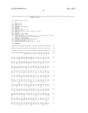 WNT4 AND MED12 FOR USE IN THE DIAGNOSIS AND TREATMENT OF TUMOR DISEASES diagram and image