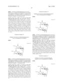 TREHALOSE COMPOUND, METHOD FOR PRODUCING SAME, AND PHARMACEUTICAL PRODUCT     CONTAINING THE COMPOUND diagram and image