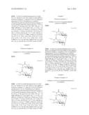 TREHALOSE COMPOUND, METHOD FOR PRODUCING SAME, AND PHARMACEUTICAL PRODUCT     CONTAINING THE COMPOUND diagram and image