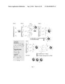 MULTI-COMPONENT NANOCHAINS diagram and image