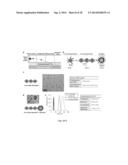 MULTI-COMPONENT NANOCHAINS diagram and image