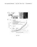 MULTI-COMPONENT NANOCHAINS diagram and image