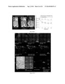 MULTI-COMPONENT NANOCHAINS diagram and image