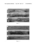 USE OF SALMONELLA FLAGELLIN DERIVATIVE IN PREPARATION OF DRUG FOR     PREVENTING AND TREATING INFLAMMATORY BOWEL DISEASES diagram and image