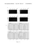 USE OF SALMONELLA FLAGELLIN DERIVATIVE IN PREPARATION OF DRUG FOR     PREVENTING AND TREATING INFLAMMATORY BOWEL DISEASES diagram and image