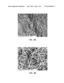 ELECTROSPUN PTFE COATED STENT AND METHOD OF USE diagram and image