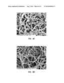 ELECTROSPUN PTFE COATED STENT AND METHOD OF USE diagram and image