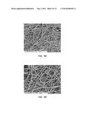 ELECTROSPUN PTFE COATED STENT AND METHOD OF USE diagram and image