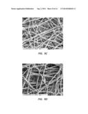 ELECTROSPUN PTFE COATED STENT AND METHOD OF USE diagram and image