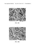 ELECTROSPUN PTFE COATED STENT AND METHOD OF USE diagram and image